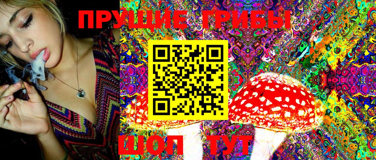 Галлюциногенные грибы Magic Shrooms  Псилоцибиновые грибы мицелий  Вход с VPN  Сланцы 